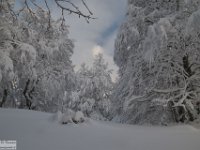 2017-12-29 V. del Morretano 019